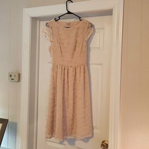 Anthro anthropology "lace & mesh" floral applique dress size XS blush pink